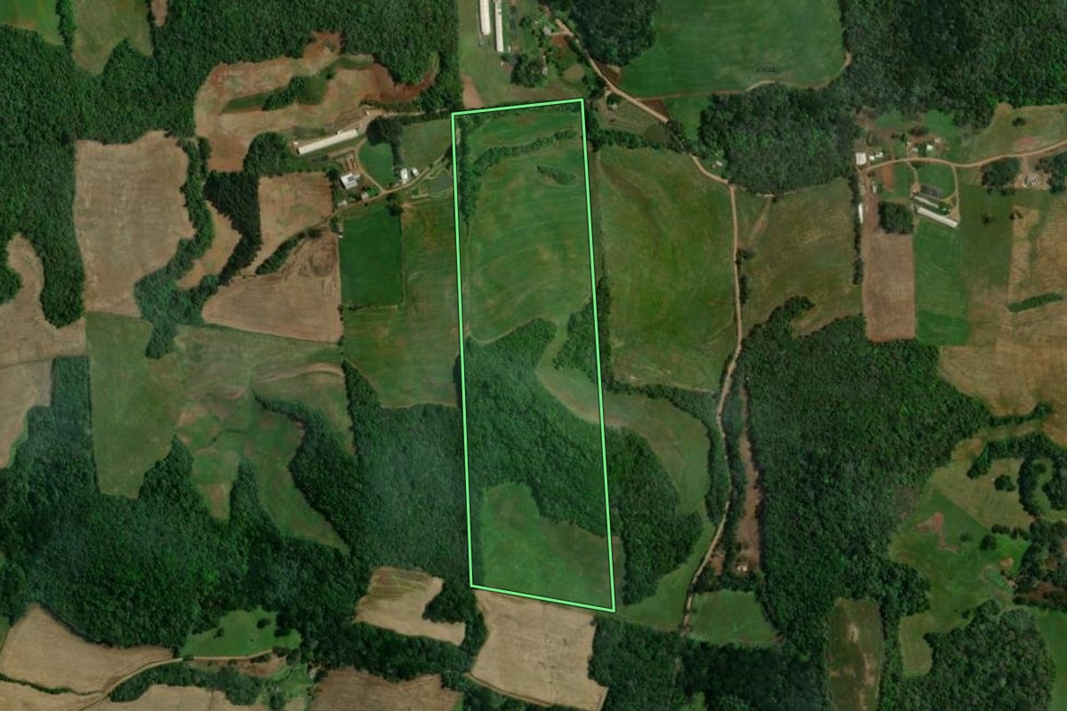 Imagem de satélite do imóvel rural em São João da Urtiga (RS), com o contorno declarado no CAR desenhado por cima.