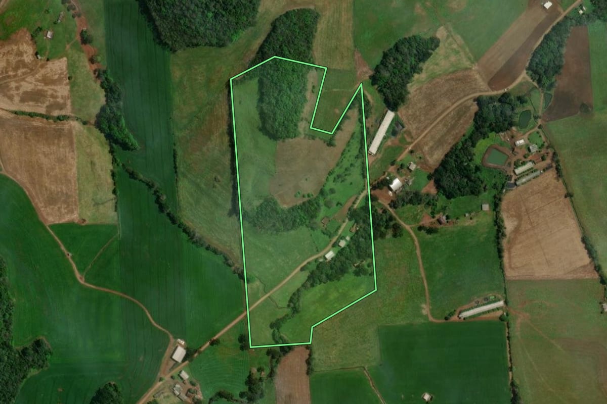 Imagem de satélite do imóvel rural em São João da Urtiga (RS), com o contorno declarado no CAR desenhado por cima.