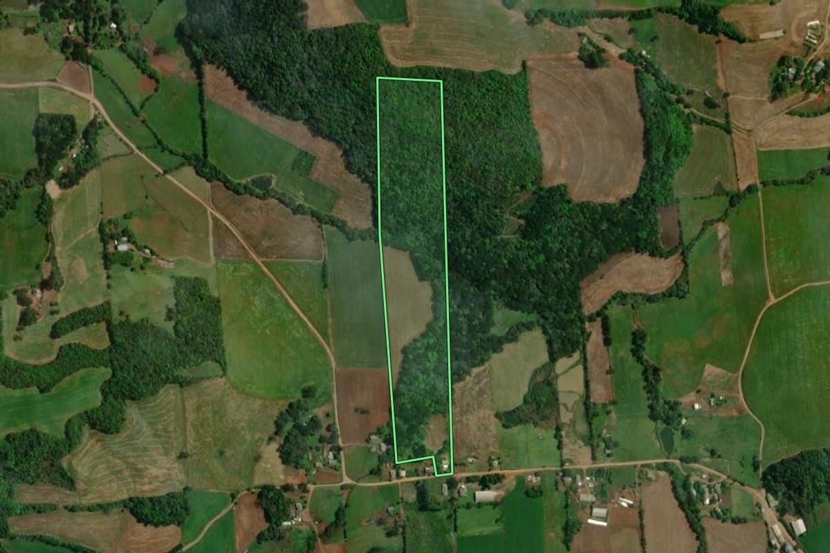 Imagem de satélite do imóvel rural em São João da Urtiga (RS), com o contorno declarado no CAR desenhado por cima.