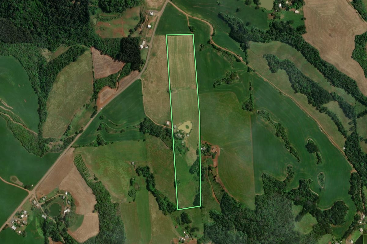 Imagem de satélite do imóvel rural em São João da Urtiga (RS), com o contorno declarado no CAR desenhado por cima.
