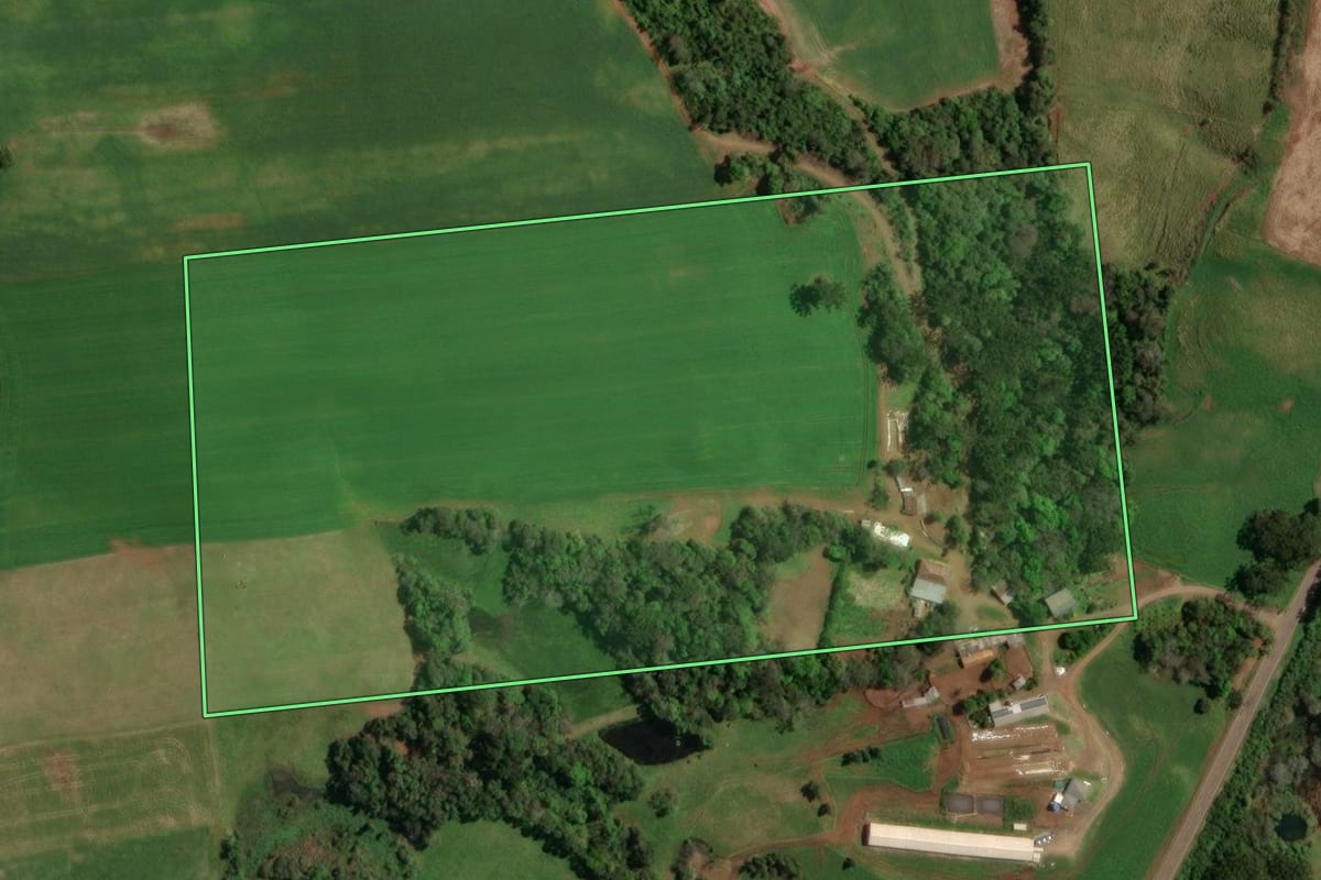 Imagem de satélite do imóvel rural em São João da Urtiga (RS), com o contorno declarado no CAR desenhado por cima.