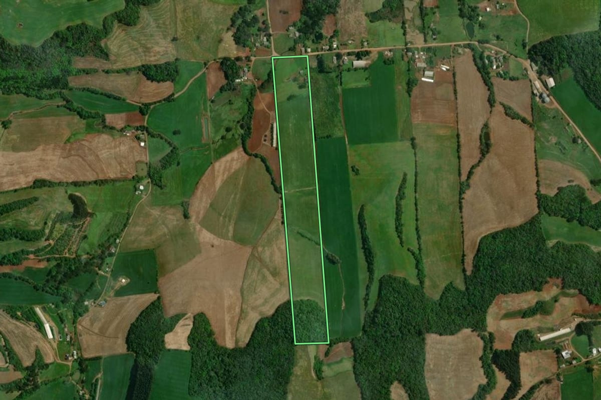 Imagem de satélite do imóvel rural em São João da Urtiga (RS), com o contorno declarado no CAR desenhado por cima.
