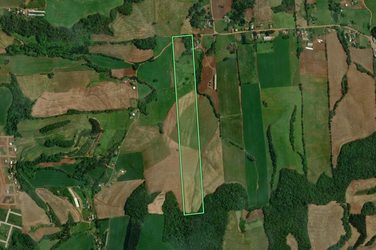 Imagem de satélite do imóvel rural em São João da Urtiga (RS), com o contorno declarado no CAR desenhado por cima.