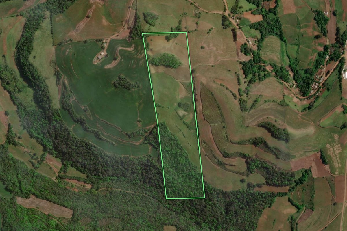 Imagem de satélite do imóvel rural em São João da Urtiga (RS), com o contorno declarado no CAR desenhado por cima.