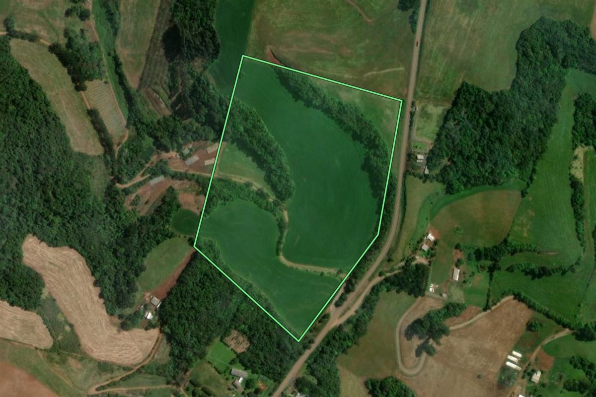 Imagem de satélite do imóvel rural em São João da Urtiga (RS), com o contorno declarado no CAR desenhado por cima.