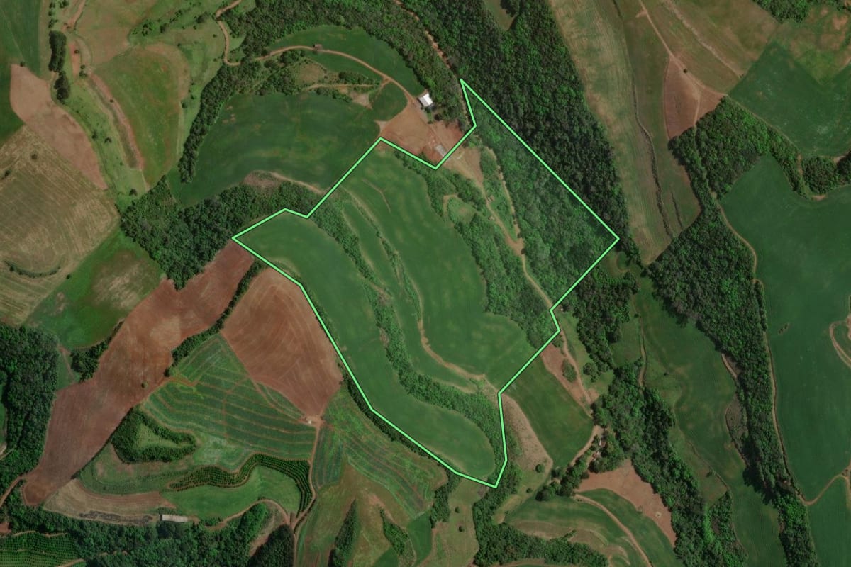 Imagem de satélite do imóvel rural em São João da Urtiga (RS), com o contorno declarado no CAR desenhado por cima.