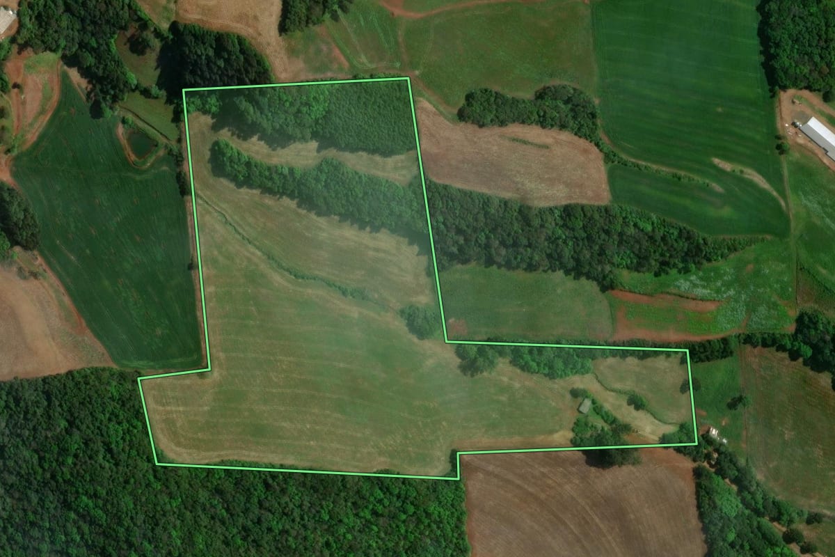 Imagem de satélite do imóvel rural em São João da Urtiga (RS), com o contorno declarado no CAR desenhado por cima.