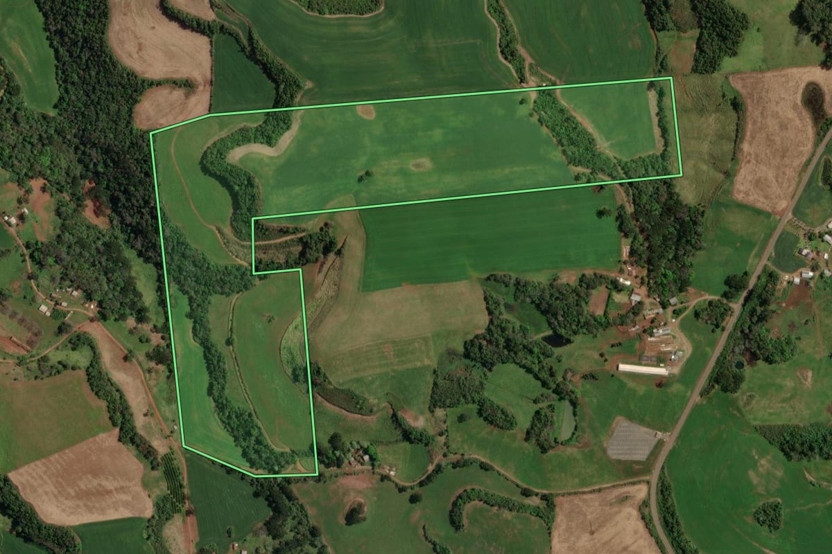 Imagem de satélite do imóvel rural em São João da Urtiga (RS), com o contorno declarado no CAR desenhado por cima.