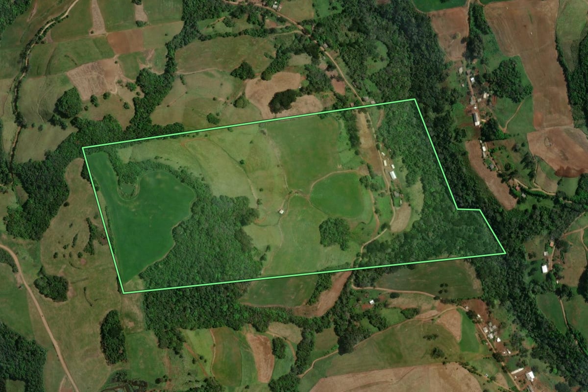 Imagem de satélite do imóvel rural em São João da Urtiga (RS), com o contorno declarado no CAR desenhado por cima.