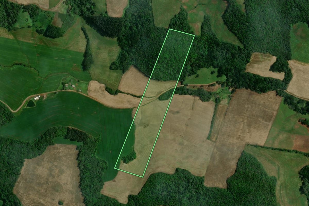Imagem de satélite do imóvel rural em São João da Urtiga (RS), com o contorno declarado no CAR desenhado por cima.