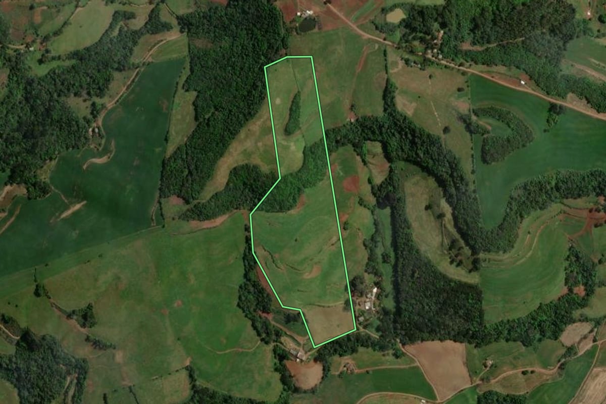 Imagem de satélite do imóvel rural em São João da Urtiga (RS), com o contorno declarado no CAR desenhado por cima.