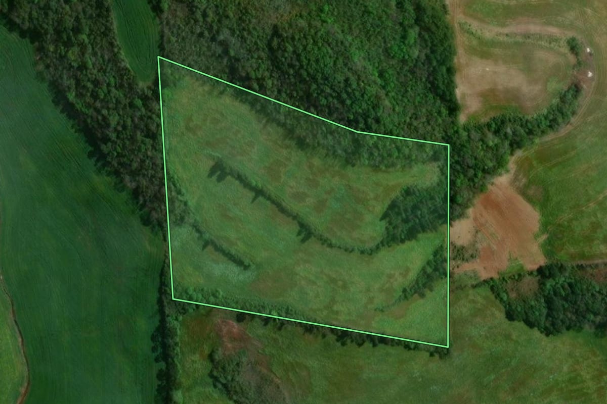 Imagem de satélite do imóvel rural em São João da Urtiga (RS), com o contorno declarado no CAR desenhado por cima.