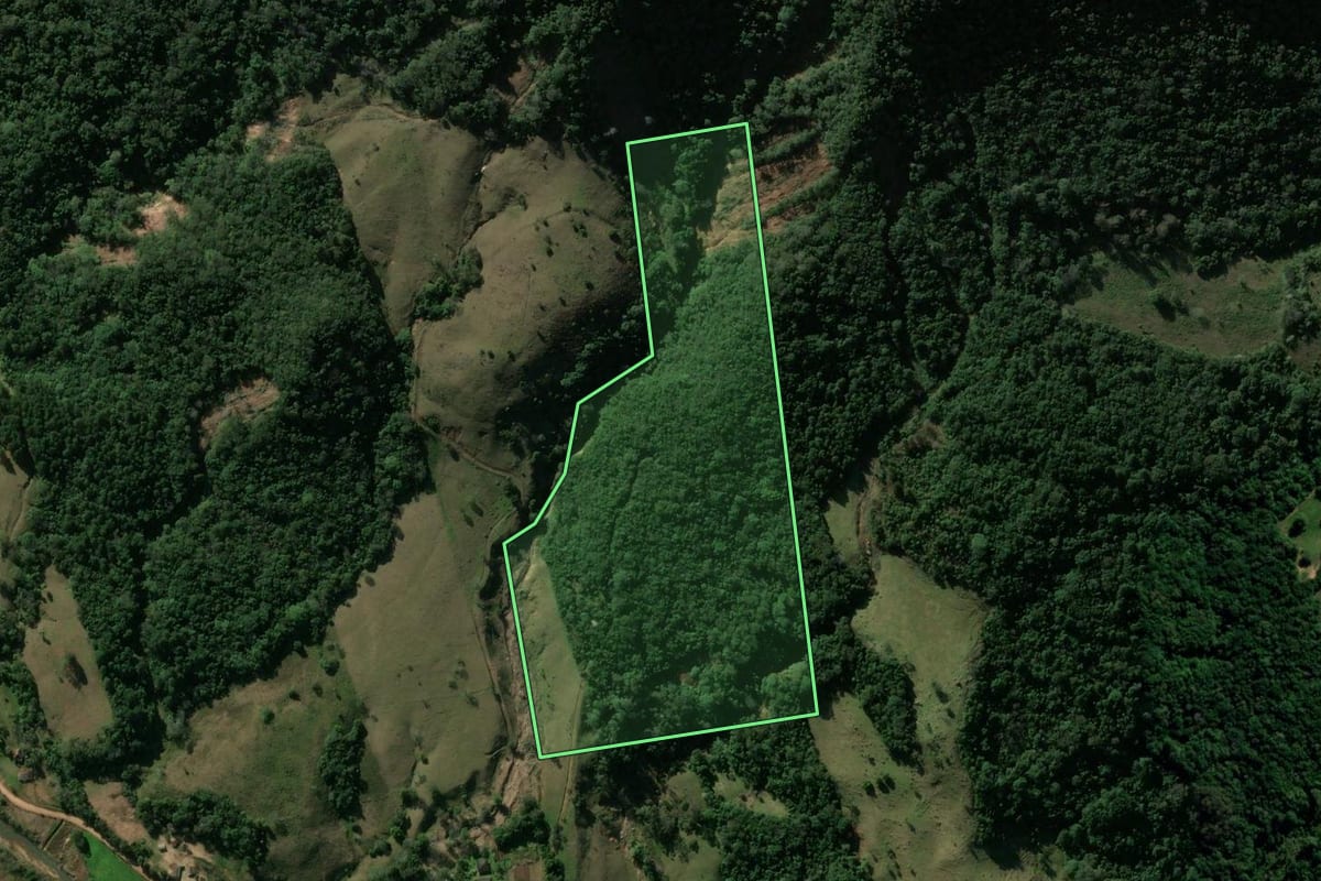 Imagem de satélite do imóvel rural em São João do Polêsine (RS), com o contorno declarado no CAR desenhado por cima.