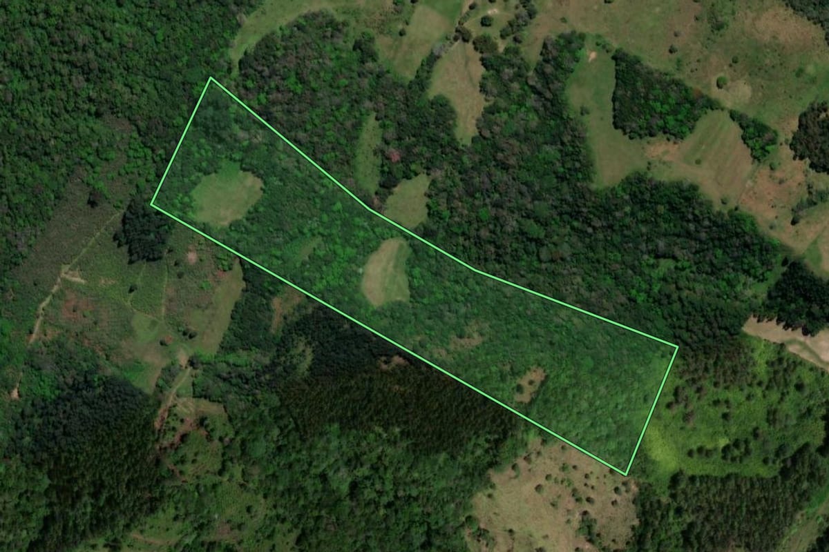 Imagem de satélite do imóvel rural em São João do Polêsine (RS), com o contorno declarado no CAR desenhado por cima.