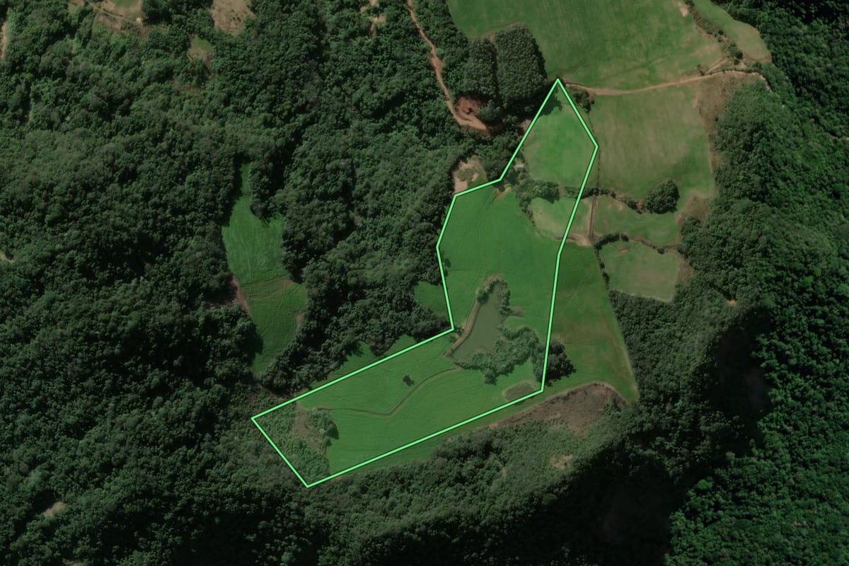 Imagem de satélite do imóvel rural em São João do Polêsine (RS), com o contorno declarado no CAR desenhado por cima.