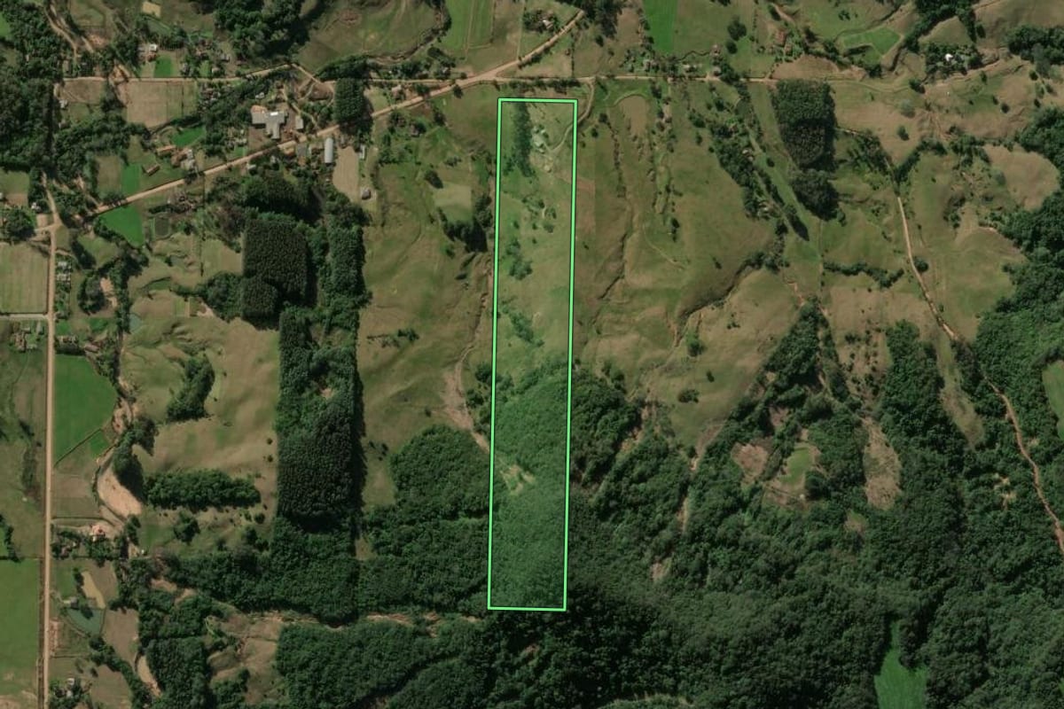 Imagem de satélite do imóvel rural em São João do Polêsine (RS), com o contorno declarado no CAR desenhado por cima.
