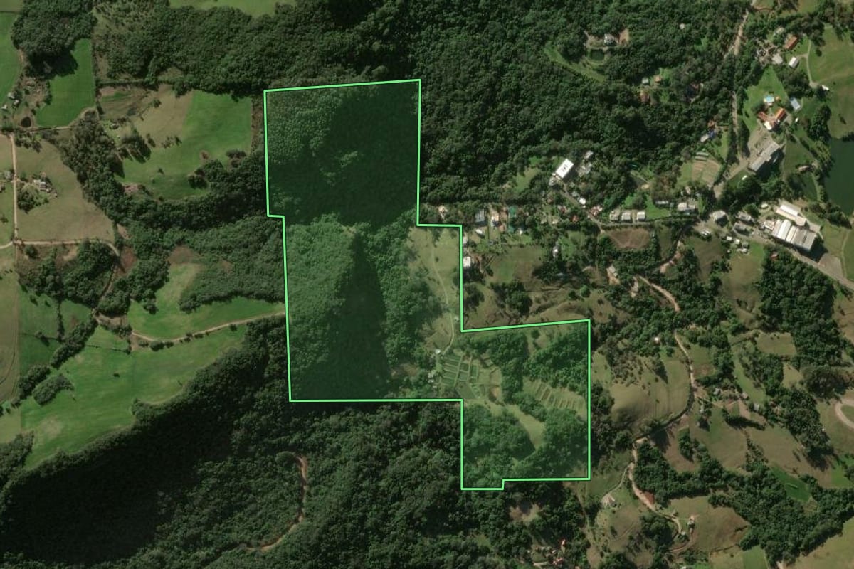 Imagem de satélite do imóvel rural em São João do Polêsine (RS), com o contorno declarado no CAR desenhado por cima.