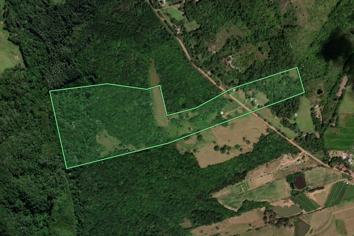 Imagem de satélite do imóvel rural em São João do Polêsine (RS), com o contorno declarado no CAR desenhado por cima.
