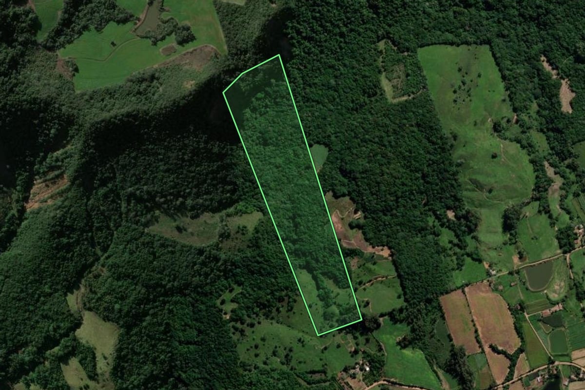 Imagem de satélite do imóvel rural em São João do Polêsine (RS), com o contorno declarado no CAR desenhado por cima.