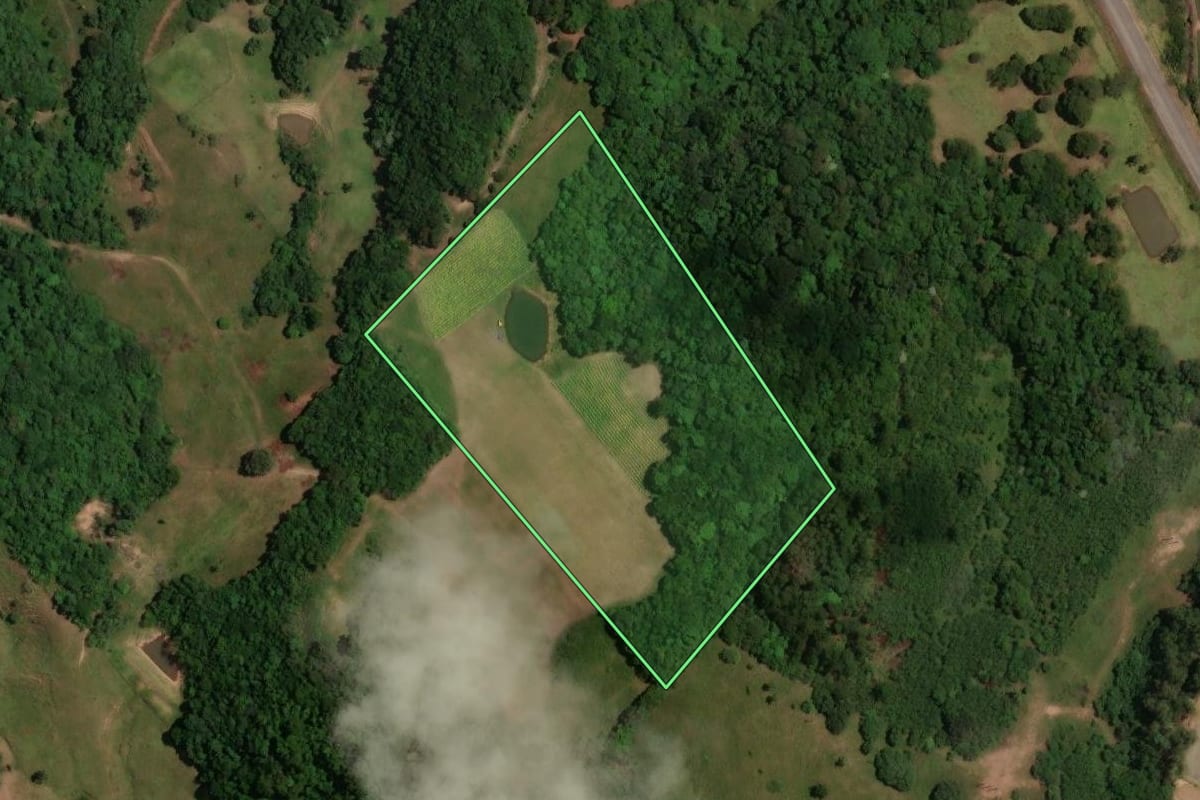 Imagem de satélite do imóvel rural em São João do Polêsine (RS), com o contorno declarado no CAR desenhado por cima.