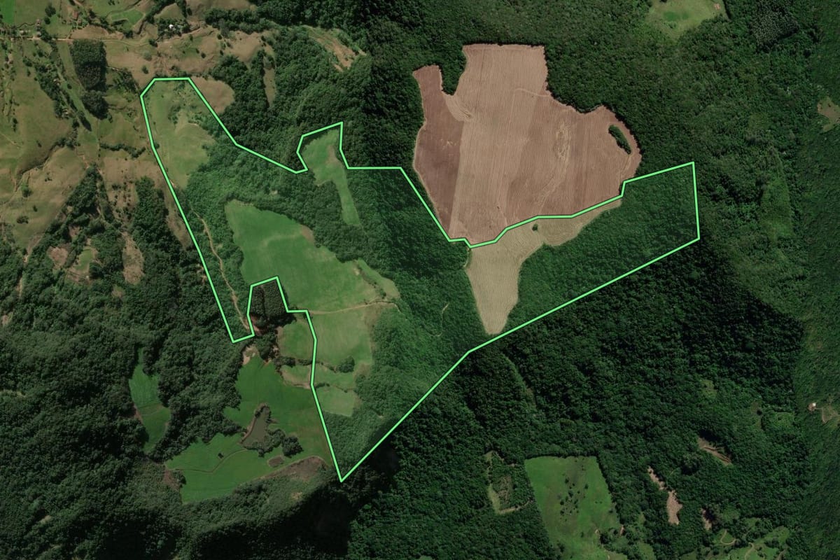 Imagem de satélite do imóvel rural em São João do Polêsine (RS), com o contorno declarado no CAR desenhado por cima.