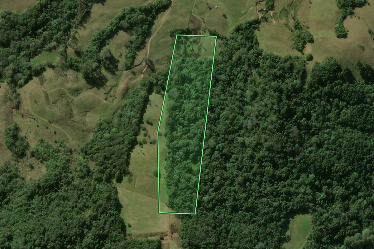 Imagem de satélite do imóvel rural em São João do Polêsine (RS), com o contorno declarado no CAR desenhado por cima.