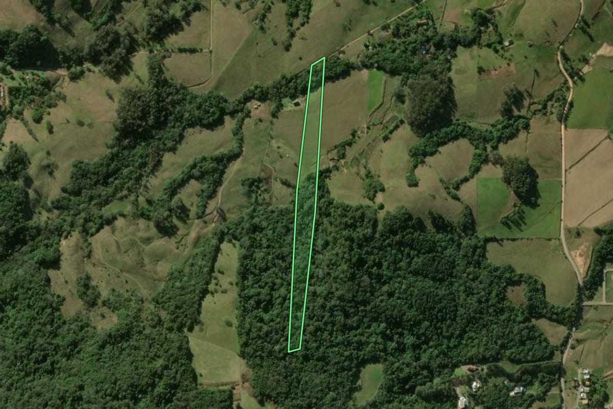 Imagem de satélite do imóvel rural em São João do Polêsine (RS), com o contorno declarado no CAR desenhado por cima.