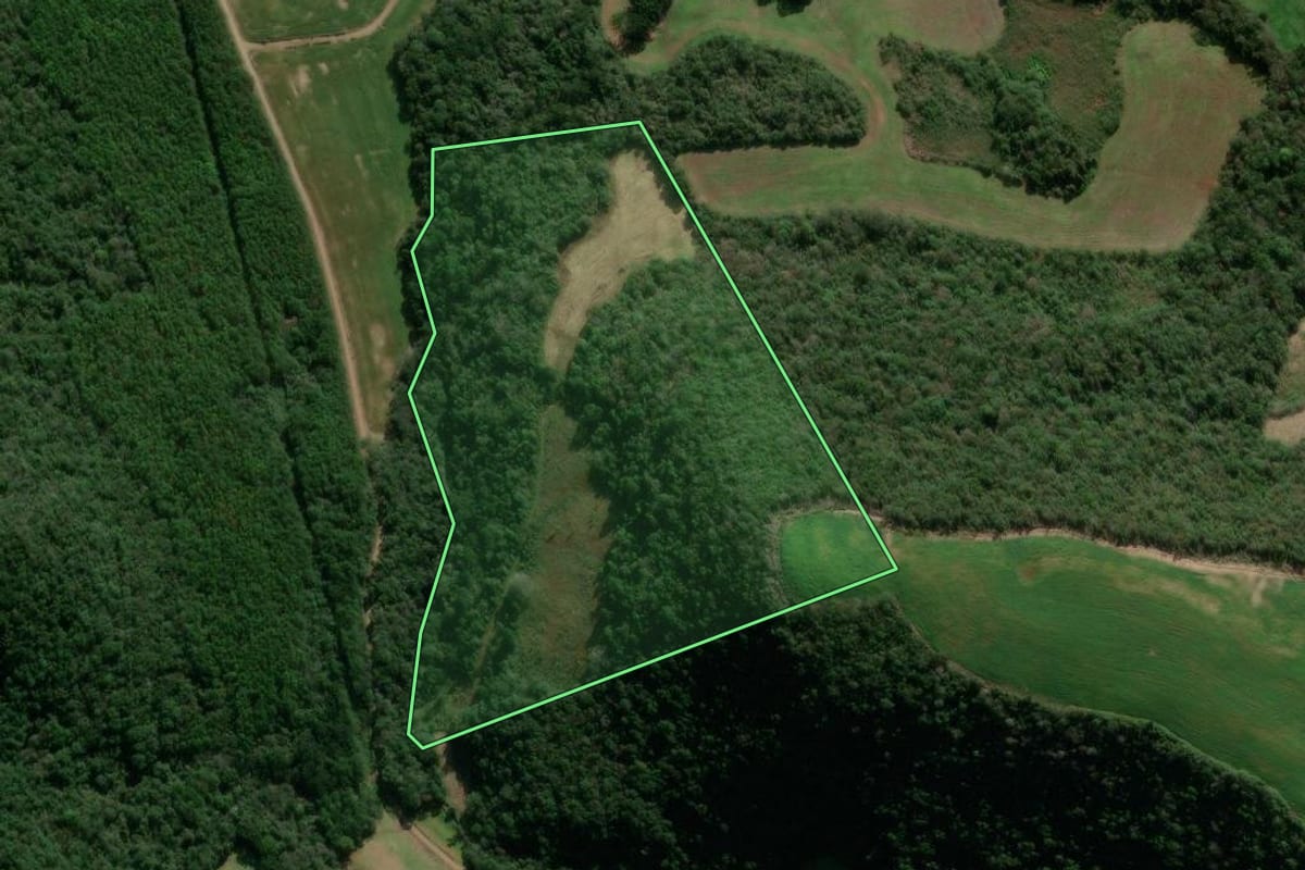 Imagem de satélite do imóvel rural em São Jorge (RS), com o contorno declarado no CAR desenhado por cima.