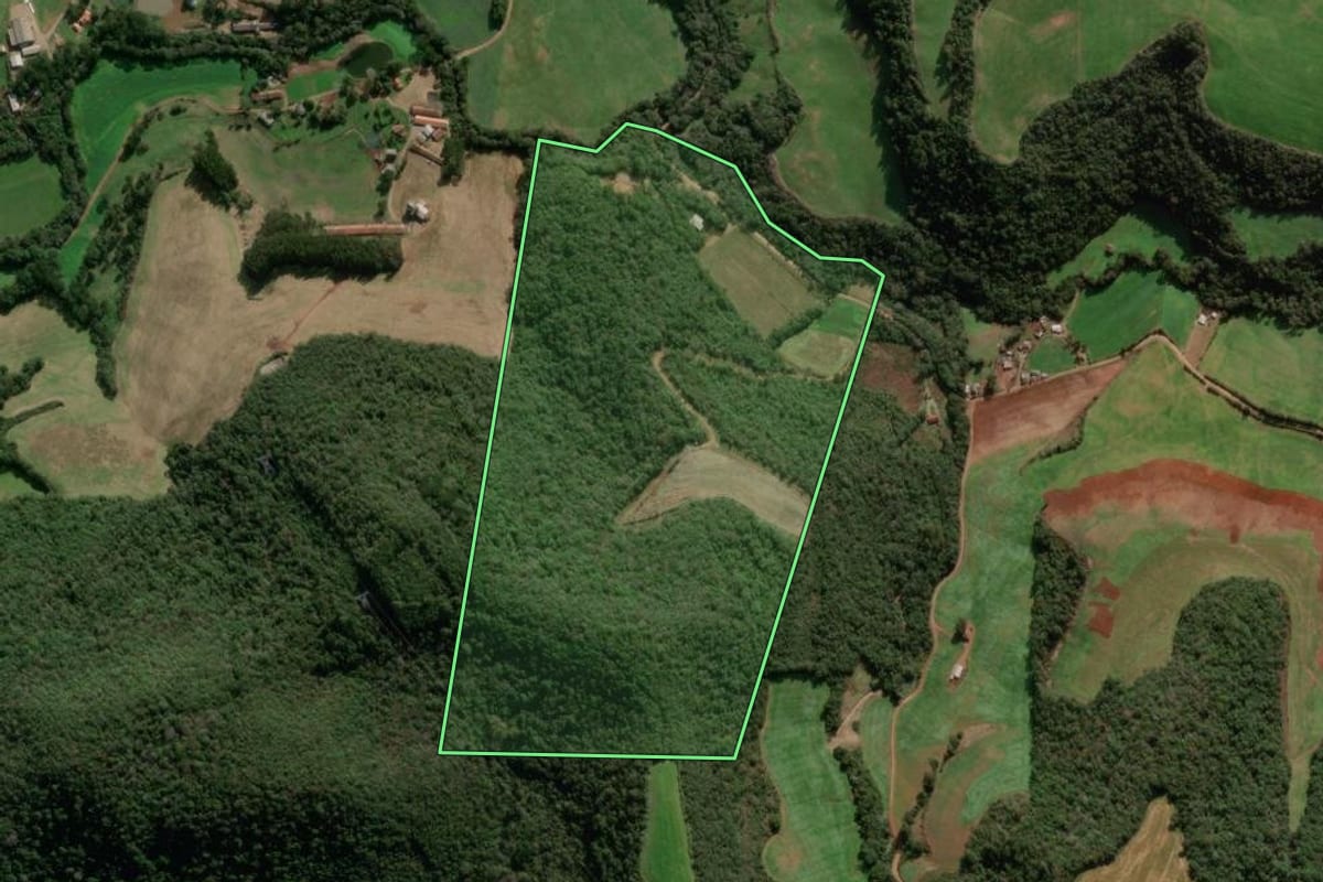 Imagem de satélite do imóvel rural em São Jorge (RS), com o contorno declarado no CAR desenhado por cima.