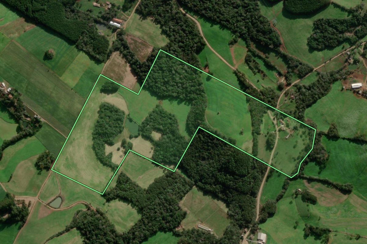 Imagem de satélite do imóvel rural em São Jorge (RS), com o contorno declarado no CAR desenhado por cima.
