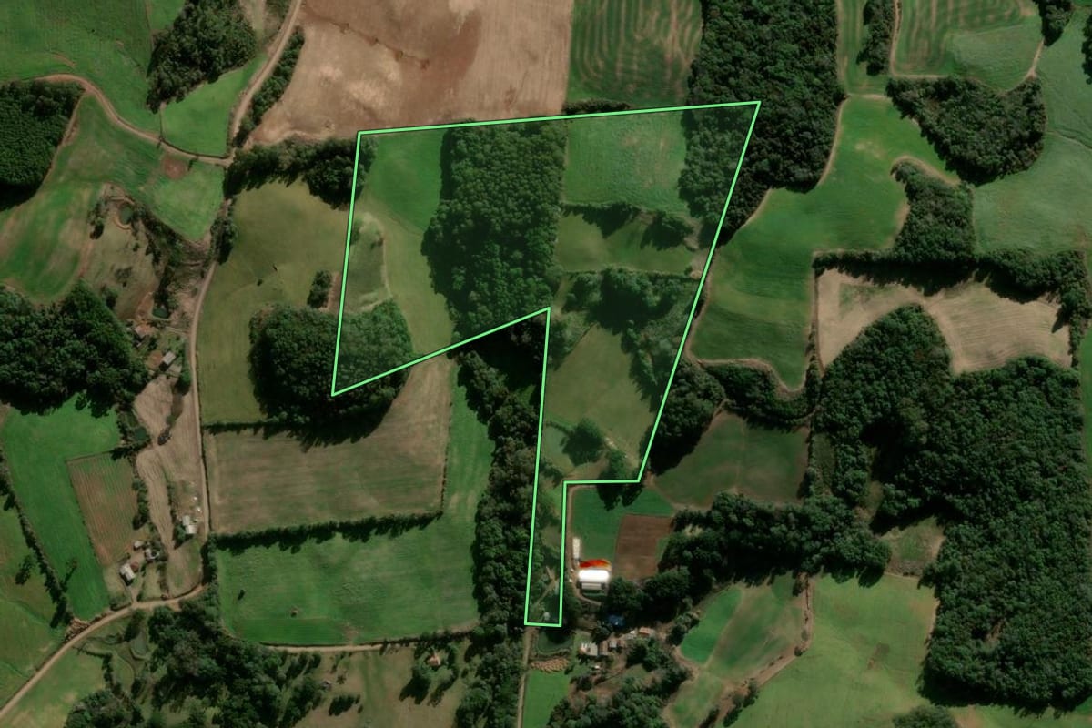Imagem de satélite do imóvel rural em São Jorge (RS), com o contorno declarado no CAR desenhado por cima.