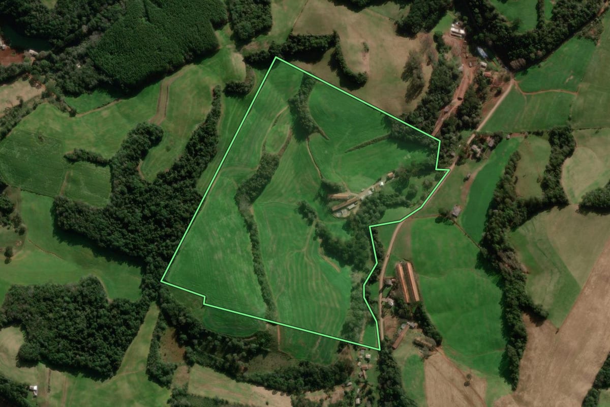 Imagem de satélite do imóvel rural em São Jorge (RS), com o contorno declarado no CAR desenhado por cima.