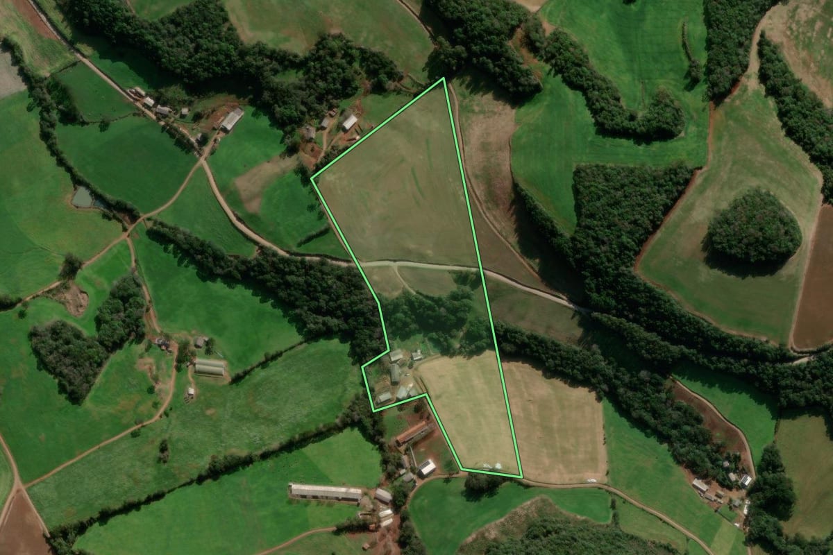 Imagem de satélite do imóvel rural em São Jorge (RS), com o contorno declarado no CAR desenhado por cima.