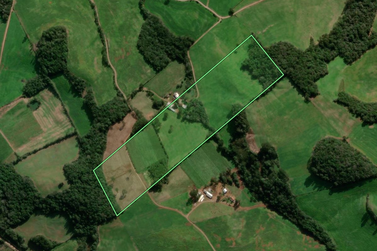 Imagem de satélite do imóvel rural em São Jorge (RS), com o contorno declarado no CAR desenhado por cima.
