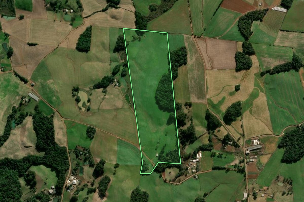 Imagem de satélite do imóvel rural em São Jorge (RS), com o contorno declarado no CAR desenhado por cima.