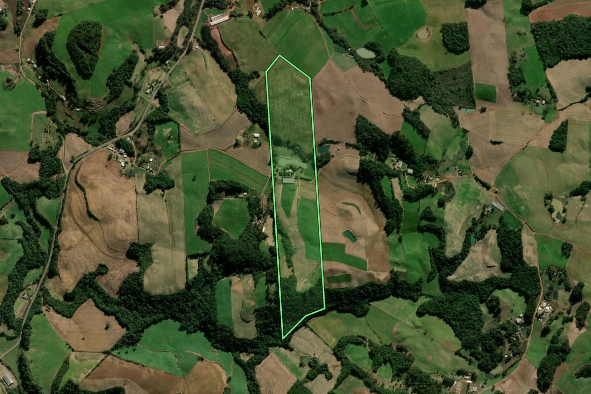 Imagem de satélite do imóvel rural em São Jorge (RS), com o contorno declarado no CAR desenhado por cima.