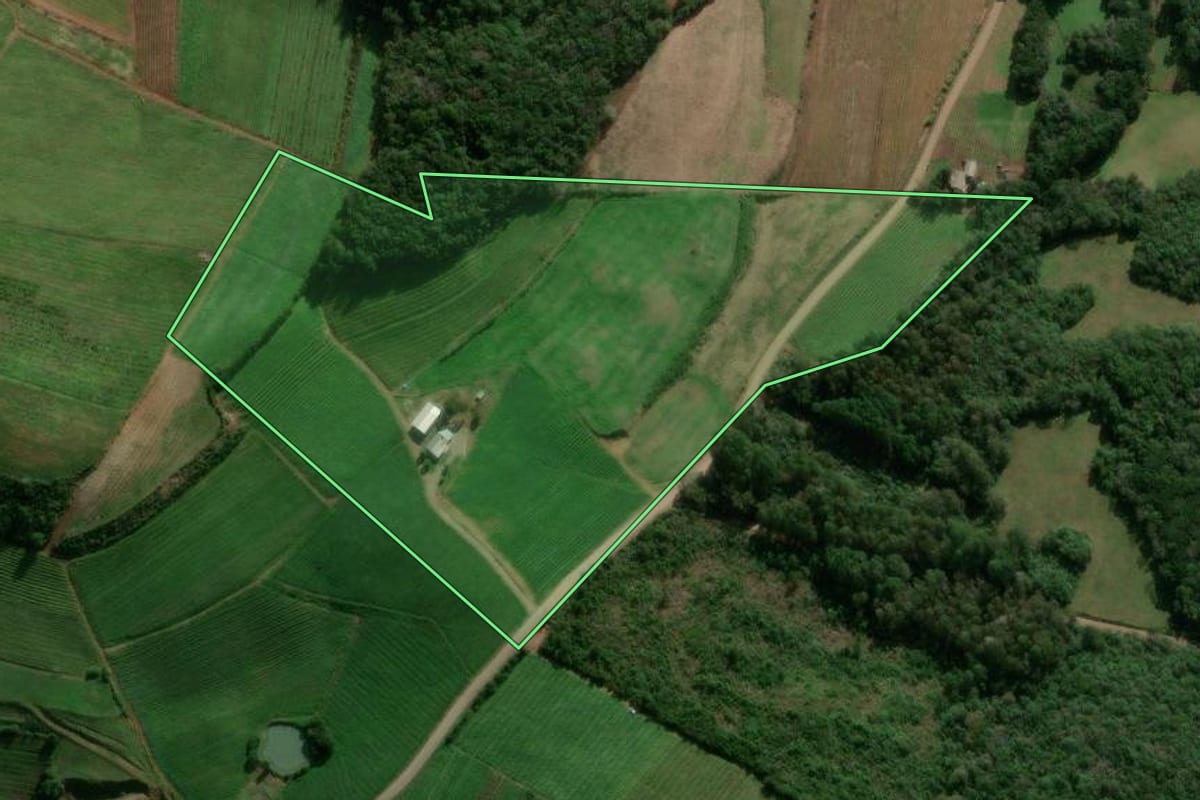 Imagem de satélite do imóvel rural em São Jorge (RS), com o contorno declarado no CAR desenhado por cima.