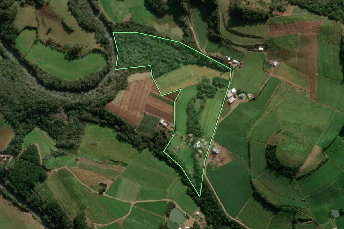 Imagem de satélite do imóvel rural em São Jorge (RS), com o contorno declarado no CAR desenhado por cima.