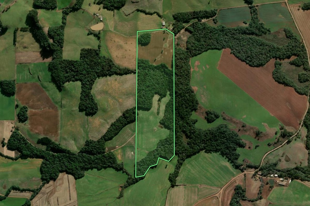 Imagem de satélite do imóvel rural em São Jorge (RS), com o contorno declarado no CAR desenhado por cima.
