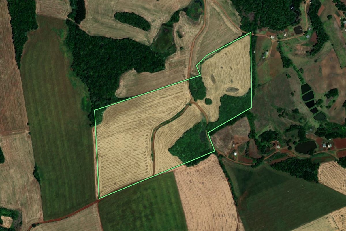 Imagem de satélite do imóvel rural em São José das Missões (RS), com o contorno declarado no CAR desenhado por cima.