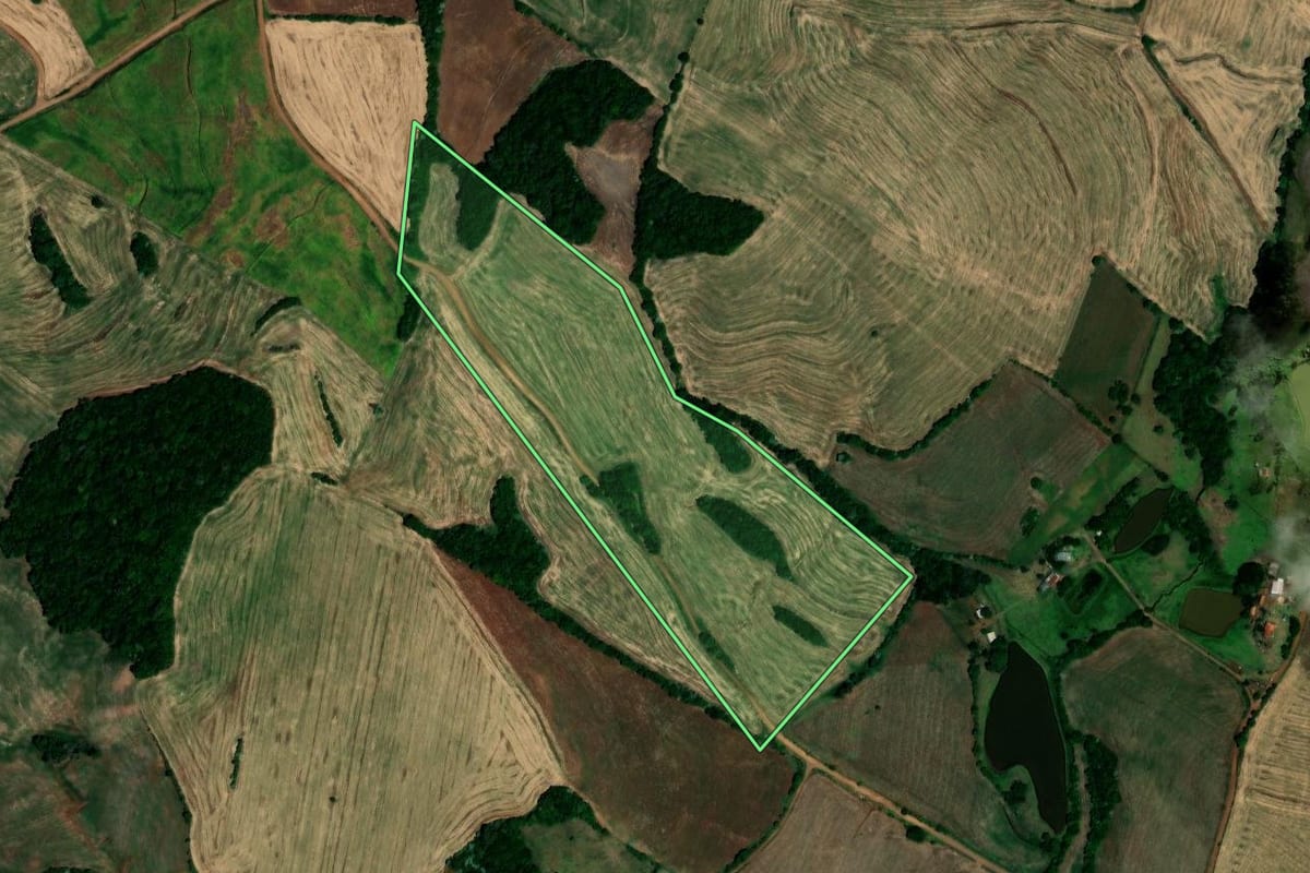 Imagem de satélite do imóvel rural em São José das Missões (RS), com o contorno declarado no CAR desenhado por cima.