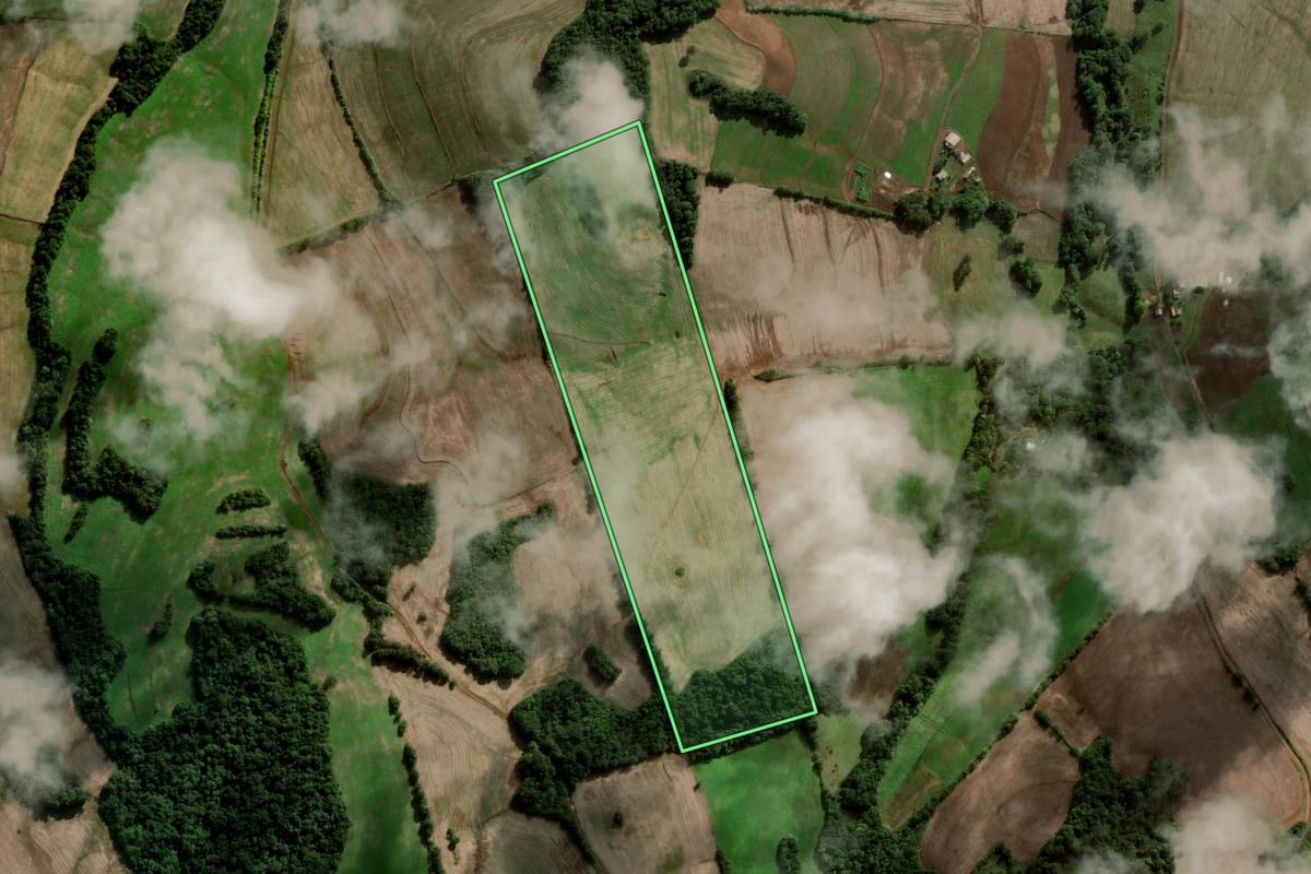 Imagem de satélite do imóvel rural em São José das Missões (RS), com o contorno declarado no CAR desenhado por cima.