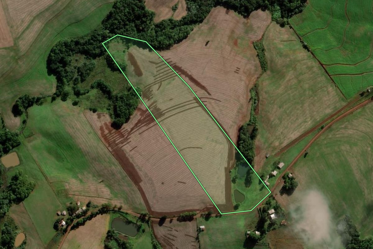 Imagem de satélite do imóvel rural em São José das Missões (RS), com o contorno declarado no CAR desenhado por cima.