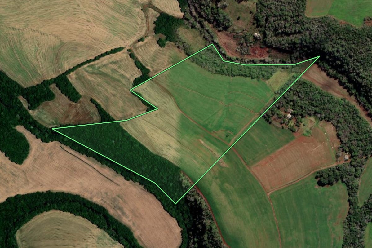 Imagem de satélite do imóvel rural em São José das Missões (RS), com o contorno declarado no CAR desenhado por cima.