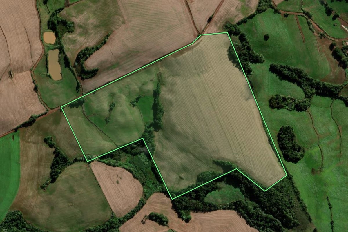 Imagem de satélite do imóvel rural em São José das Missões (RS), com o contorno declarado no CAR desenhado por cima.