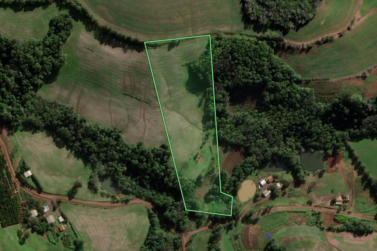 Imagem de satélite do imóvel rural em São José das Missões (RS), com o contorno declarado no CAR desenhado por cima.