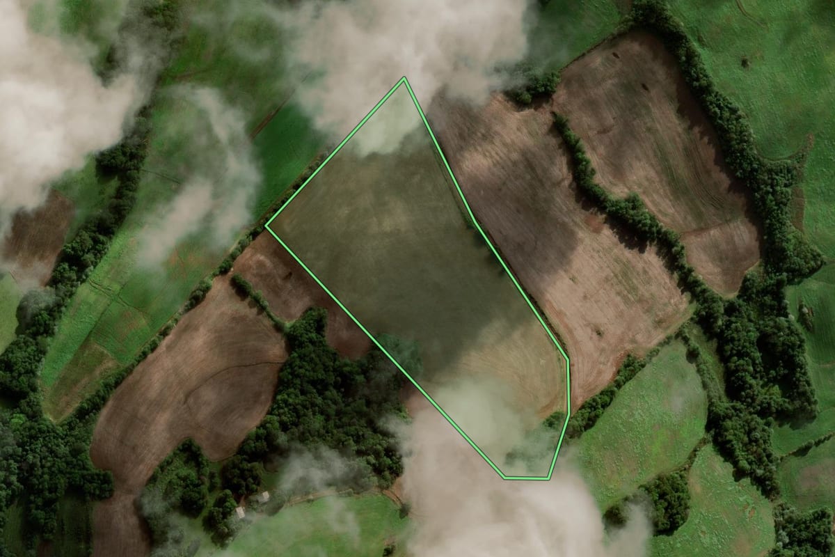 Imagem de satélite do imóvel rural em São José das Missões (RS), com o contorno declarado no CAR desenhado por cima.