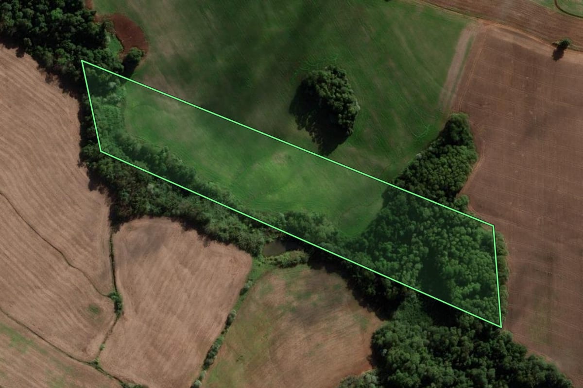 Imagem de satélite do imóvel rural em São José das Missões (RS), com o contorno declarado no CAR desenhado por cima.