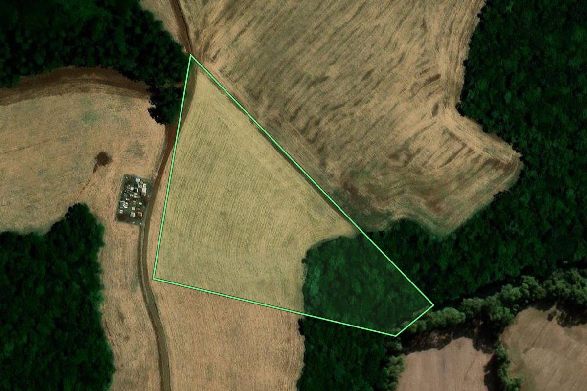 Imagem de satélite do imóvel rural em São José das Missões (RS), com o contorno declarado no CAR desenhado por cima.