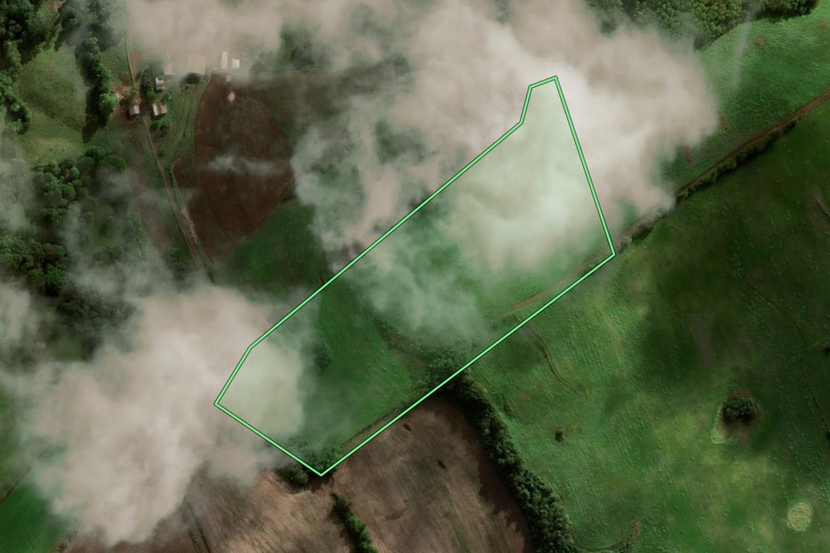 Imagem de satélite do imóvel rural em São José das Missões (RS), com o contorno declarado no CAR desenhado por cima.